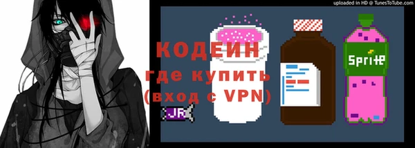 молекула духа Няндома