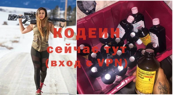 молекула духа Няндома