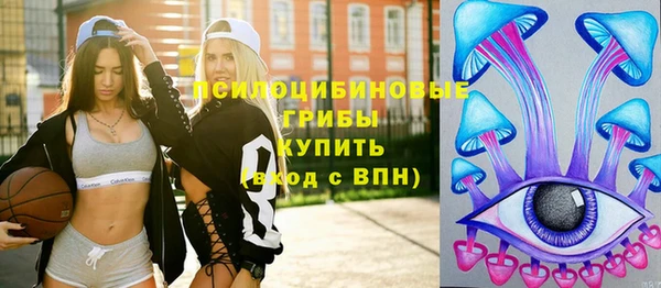 ГАЛЛЮЦИНОГЕННЫЕ ГРИБЫ Осинники