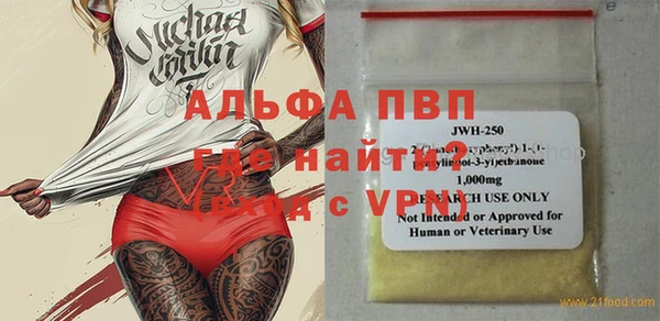 молекула духа Няндома