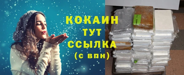 гашик Осташков