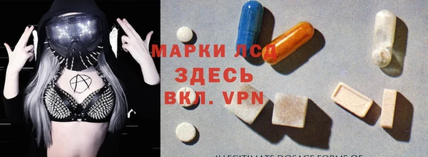 молекула духа Няндома