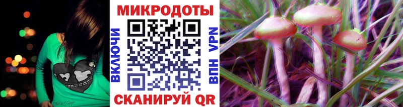 наркота  Асино  Галлюциногенные грибы Psilocybe 